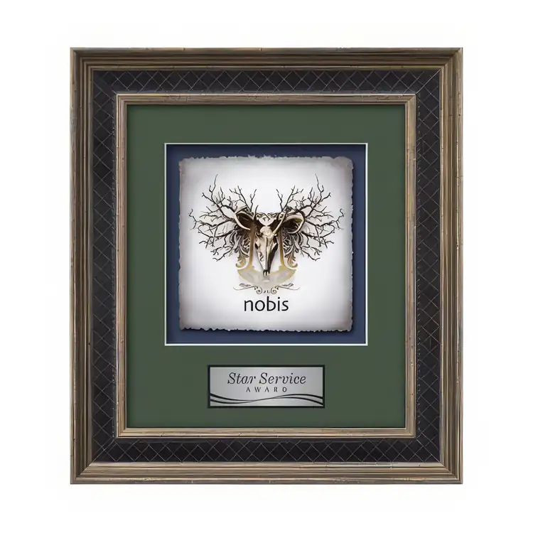 Waterleaf Tuscan Multicolor on Artisan Paper Framed Award #5