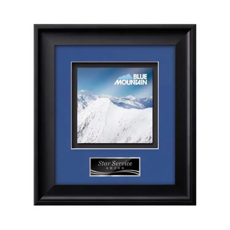Waterleaf Yorktech Multicolor on Metal Framed Award #3
