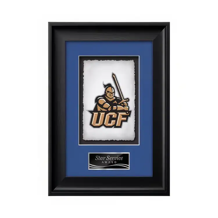 Waterleaf Yorktech Multicolor on Artisan Paper Framed Award #2