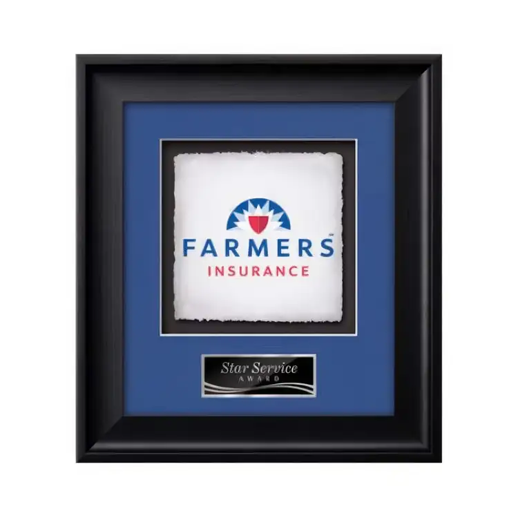 Waterleaf Yorktech Multicolor on Artisan Paper Framed Award #3