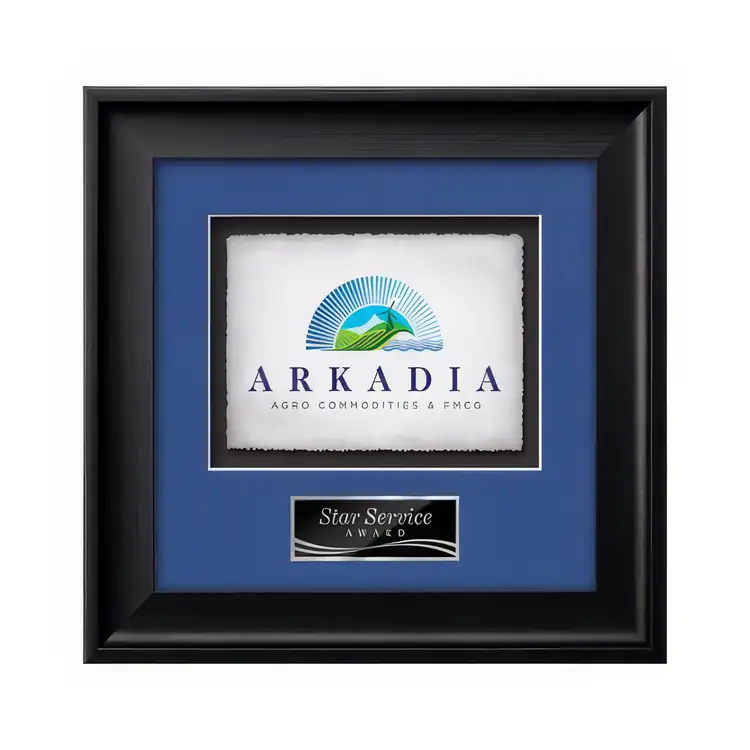 Waterleaf Yorktech Multicolor on Artisan Paper Framed Award #4