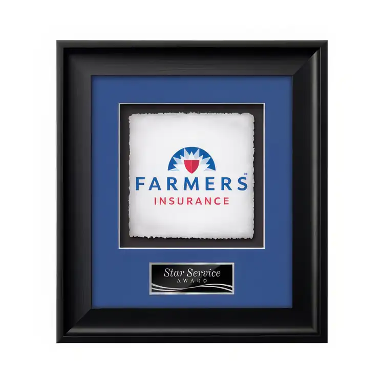 Waterleaf Yorktech Multicolor on Artisan Paper Framed Award #5