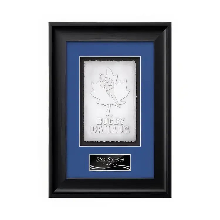 Waterleaf Yorktech Cast Paper Framed Award #2