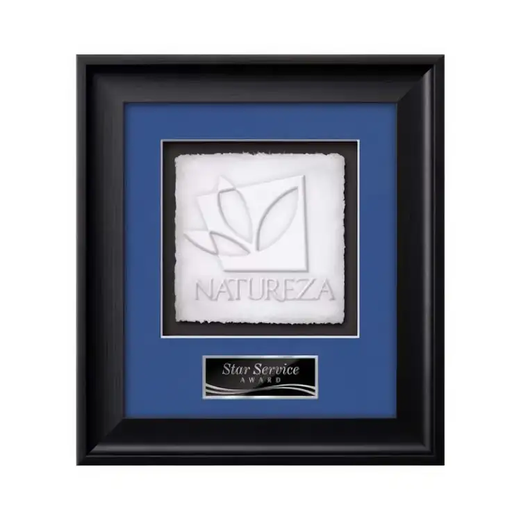 Waterleaf Yorktech Cast Paper Framed Award #3