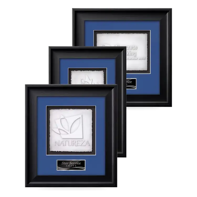 Waterleaf Yorktech Cast Paper Framed Award