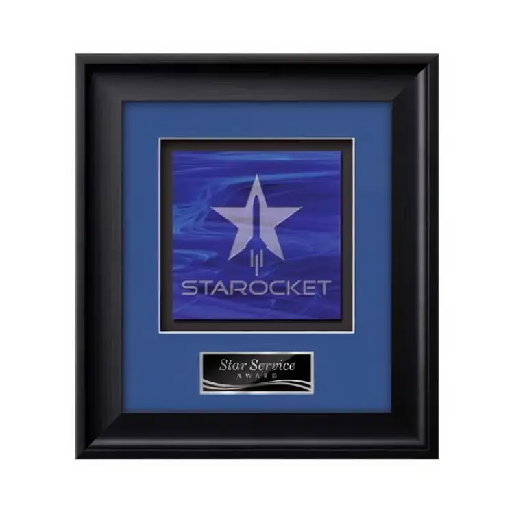 Waterleaf Yorktech Stained Glass Framed Award #3