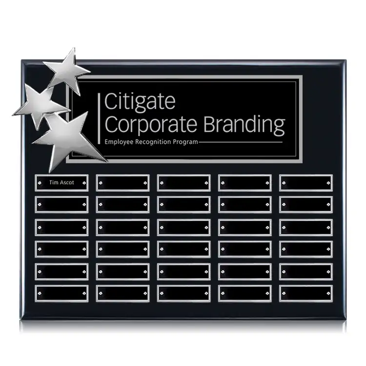 Constellation Perpetual - Ebony Chrome 12 x 15 in