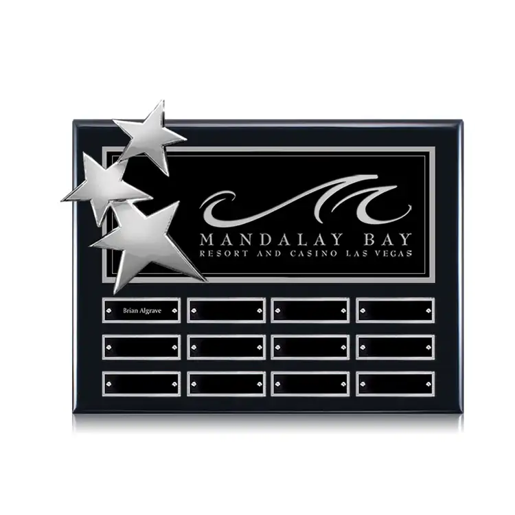 Constellation Perpetual - Ebony Chrome 9 x 12 in