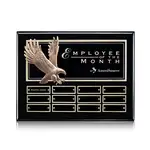 Plaque perpétuelle Flying Eagle - Ébène - 12 plaquettes 9 x 12 po