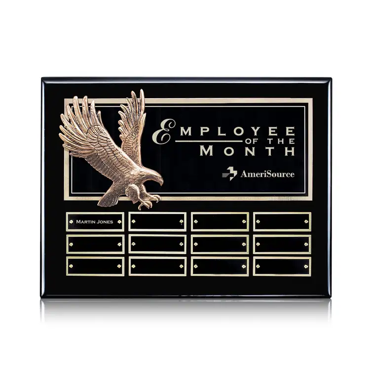 Flying Eagle Perpetual - Ebony - 12 Plates 9 x 12 in