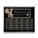 Plaque perpétuelle Flying Eagle - Ébène - 30 plaquettes 12 x 15 po