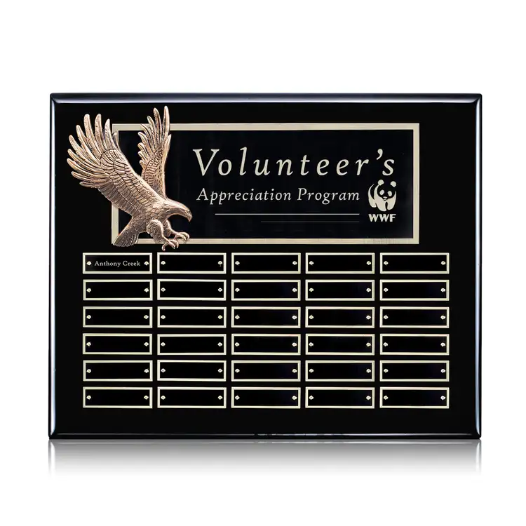 Flying Eagle Perpetual - Ebony - 30 Plates 12 x 15 in