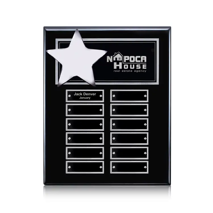 Hollister (Vert) Perpetual - Black/Silver - 12 Plates 8 x 10 in