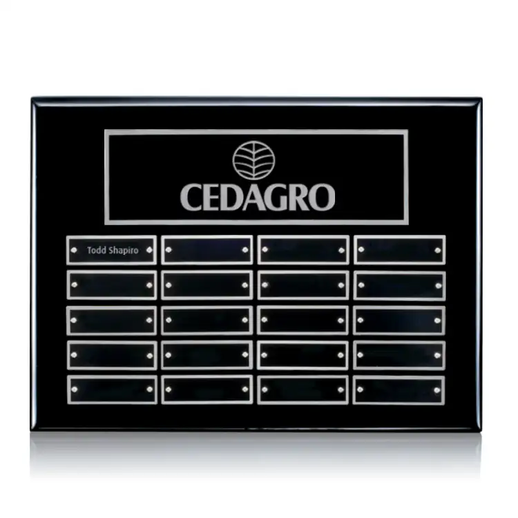Oakleigh Horiz Pert/Plaque - Black/Silver - 20 Plates 9 x 12 in