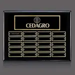 Plaque perpétuelle Oakleigh Horiz Pert/ - Noir/Or - 20 plaquettes 9 x 12 po