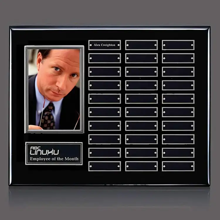Photo (Vert) P/Plaque - Black/Silver - 30 Plates 12 x 15 in
