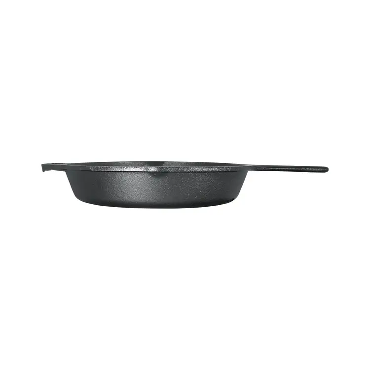 Lodge 10.25-inch Cast Iron Skillet #3
