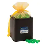 X-Cube Pen Holder with Jelly Belly beans