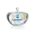Argyle Optical Crystal Paperweight - Apple - Multicolor