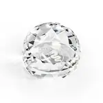 Driscoll Optical Crystal Paperweight - Deep Etch