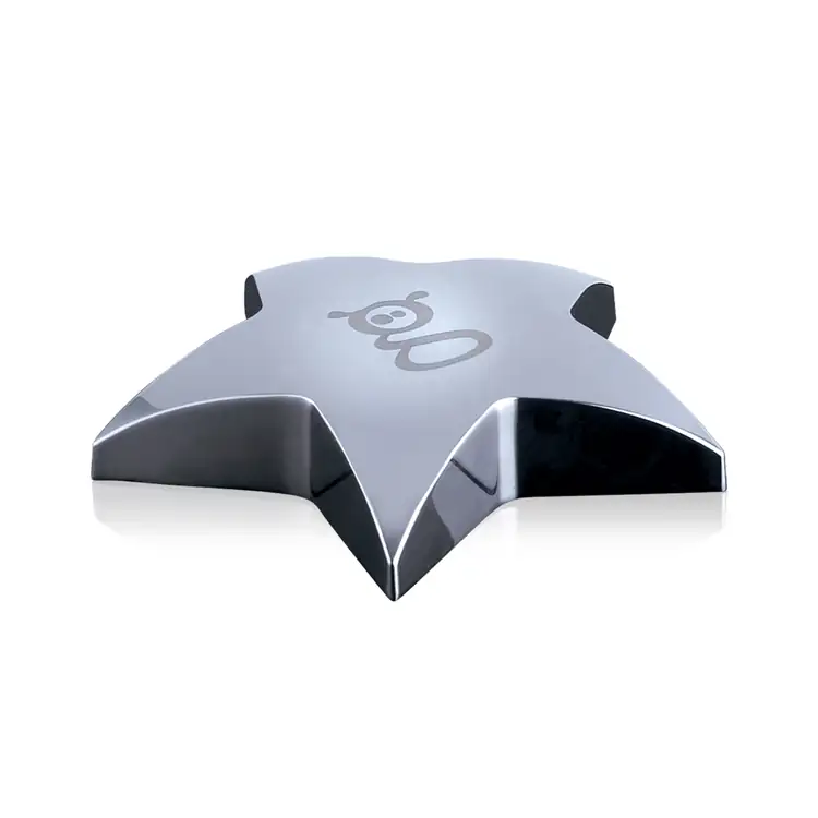 Hollister Metal Star Paperweight #2