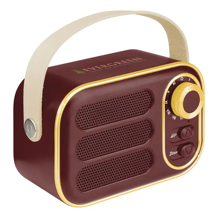Radio FM et haut-parleur sans fil AWS Retro Boom #10