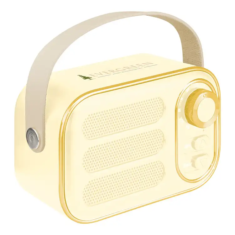 Radio FM et haut-parleur sans fil AWS Retro Boom #12