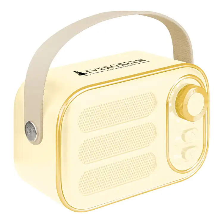 Radio FM et haut-parleur sans fil AWS Retro Boom #13