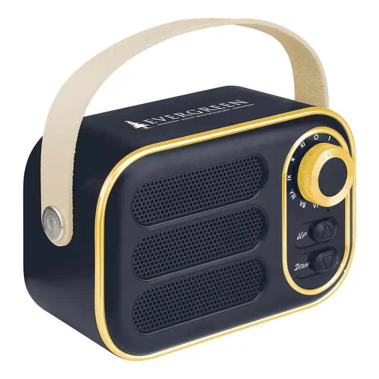 Radio FM et haut-parleur sans fil AWS Retro Boom #17