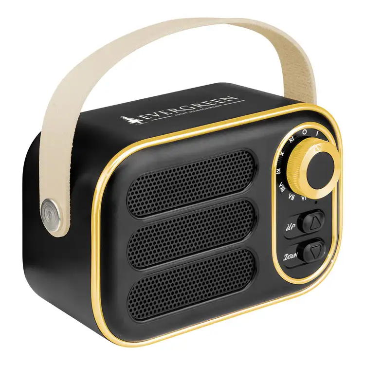 Radio FM et haut-parleur sans fil AWS Retro Boom #8