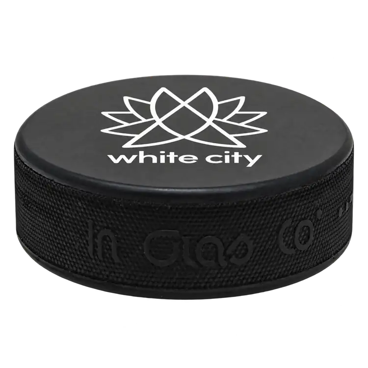 Rondelle de hockey officielle Ice