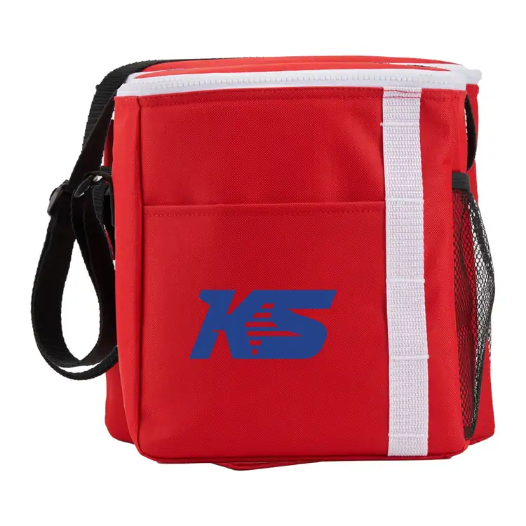 Accent Recycled Lunch Cooler #5