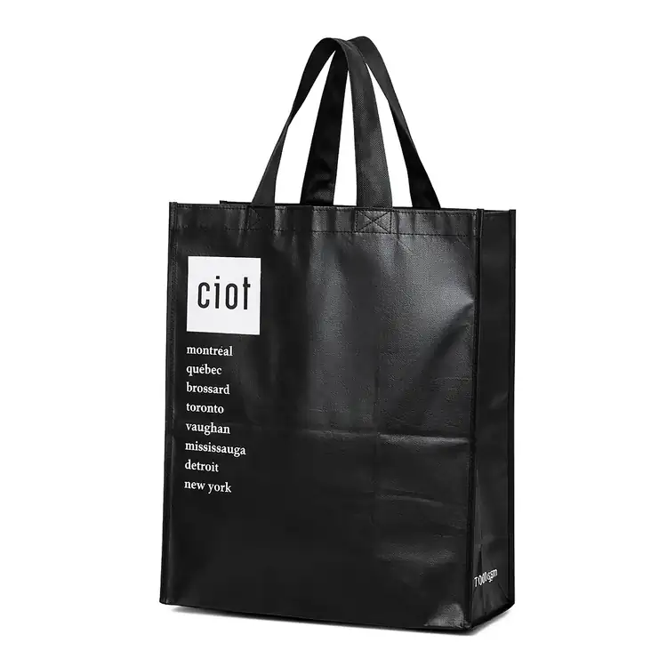 Sac d’épicerie laminé #3