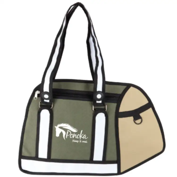 Sac messager Caricature