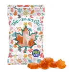Sachet DigiBag de bonbons à saveur d’érable 2 oz