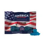 Sachet DigiBag d’oursons épicés à la framboise bleue 2 oz - America 250
