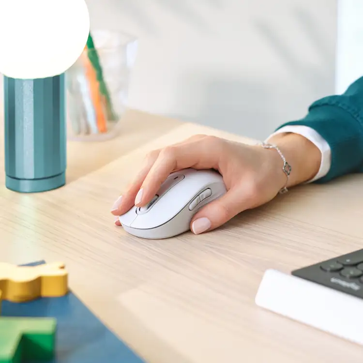 Souris Logitech Signature M650 L #10