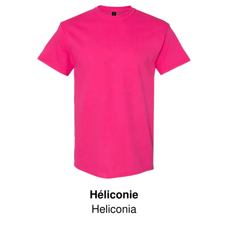 Gildan Heavy Cotton Unisex T-Shirt #31