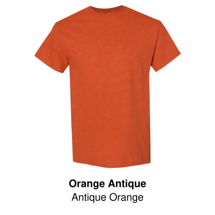 Gildan Heavy Cotton Unisex T-Shirt #44