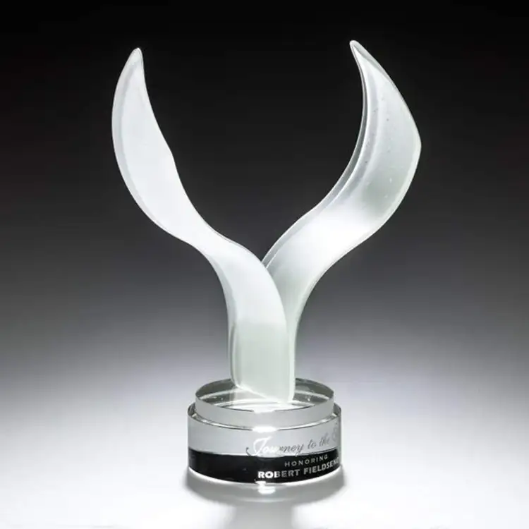 Trophée Aerial #2