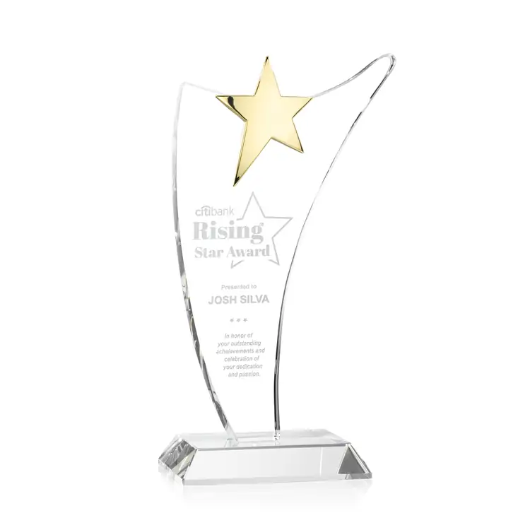 Atkinson Optical Crystal Gold Star Award #2