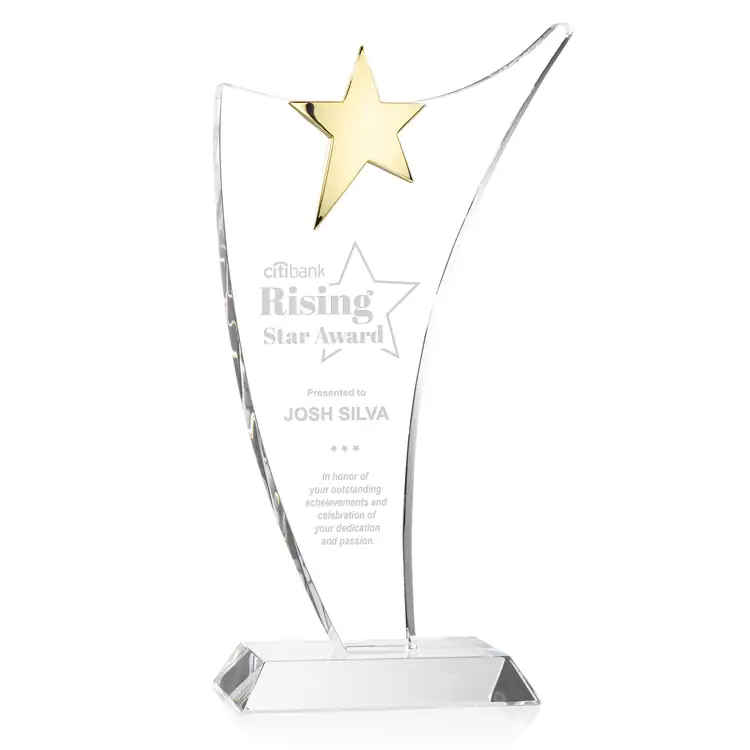 Atkinson Optical Crystal Gold Star Award #3