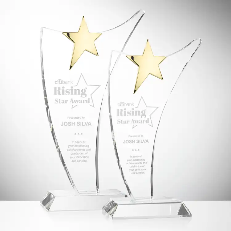 Atkinson Optical Crystal Gold Star Award