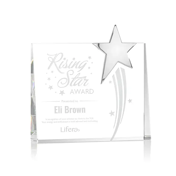 Bradenton Optical Crystal Chrome Star Award #2