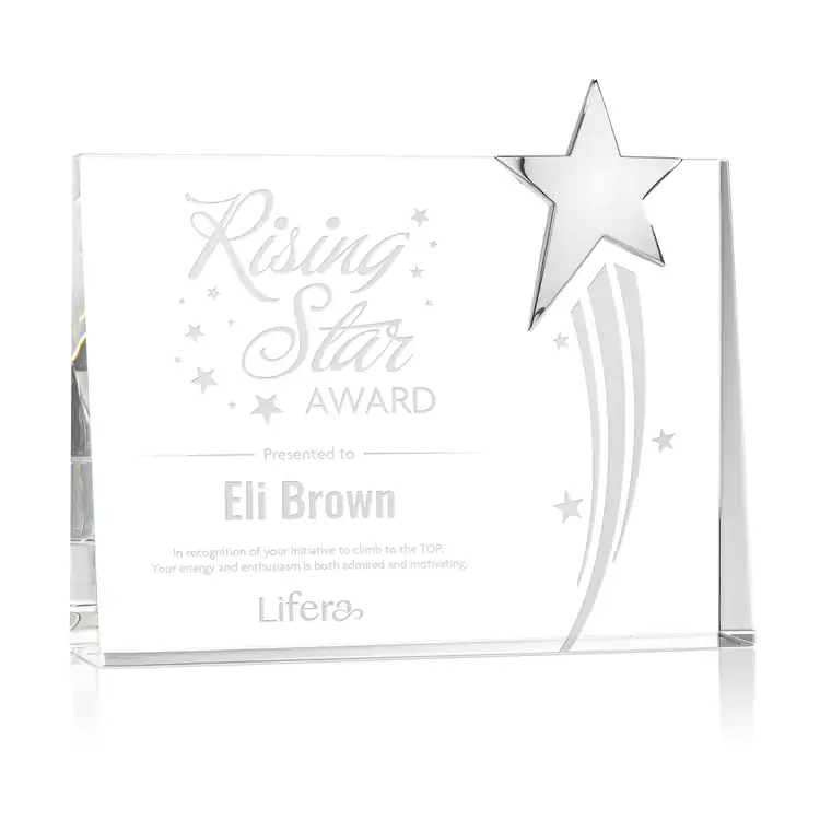 Bradenton Optical Crystal Chrome Star Award #3