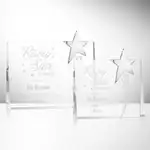 Trophée Bradenton en cristal optique à étoile chromée