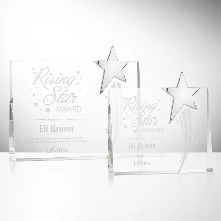 Bradenton Optical Crystal Chrome Star Award