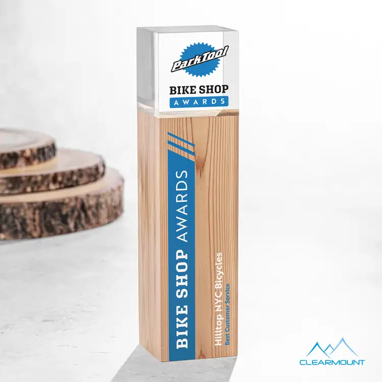 Branche Wood and Acrylic Award - Multicolor #2