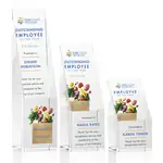 Trophée Braxton en cristal - Multicolore