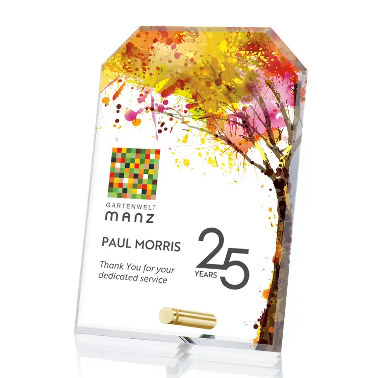 Trophée Cantebury en cristal Starfire - Rectangle tronqué - Multicolore #2